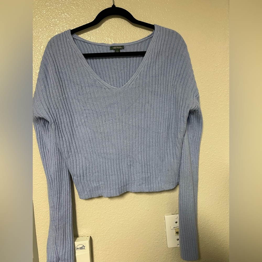 Wild Fable baby blue knit cropped sweater